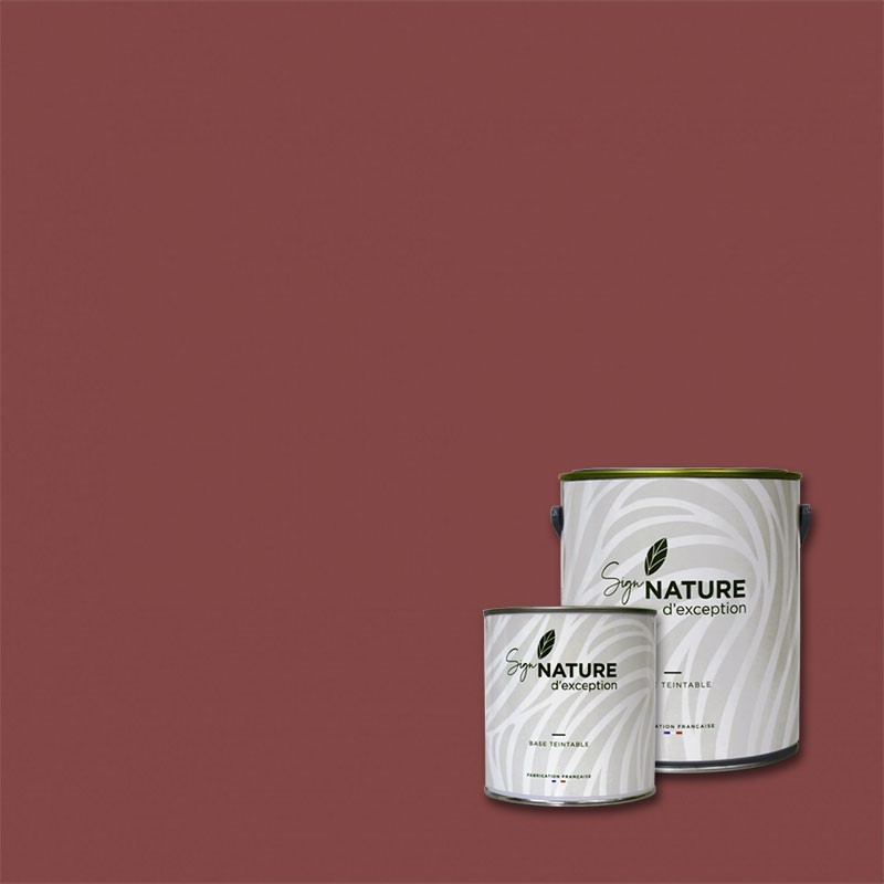 Peinture couleur BAUXITE N°250