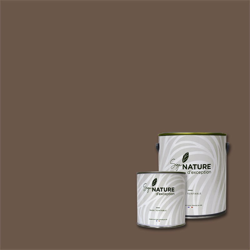 Peinture couleur CAUCASE N°40