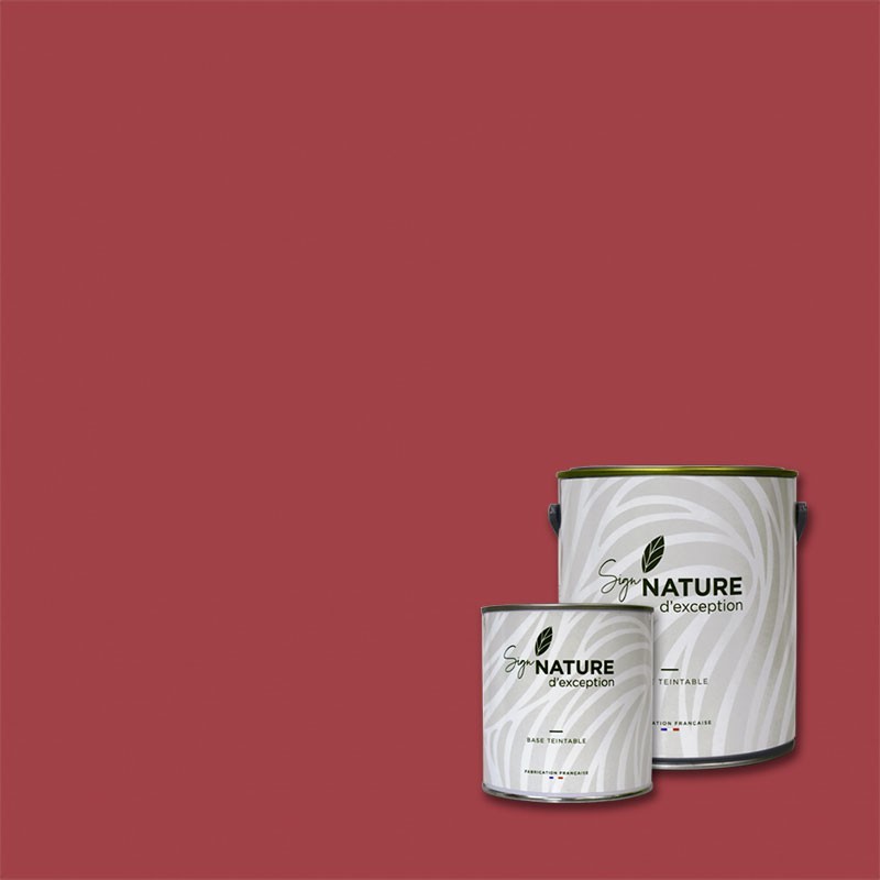 Peinture couleur KERMESITE N°373