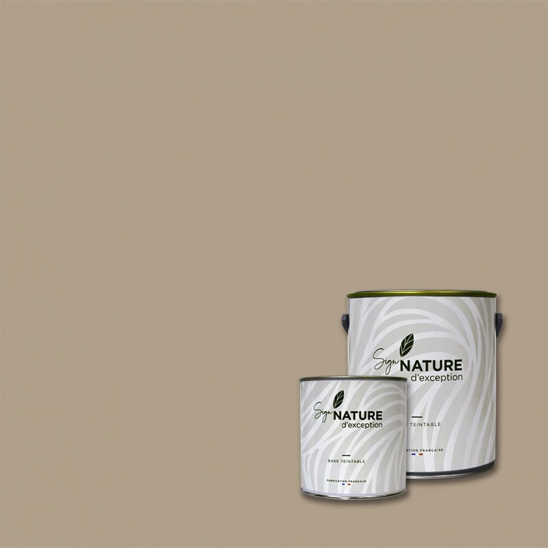 Peinture couleur MERCURE N°313